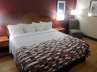 Chicago (IL) United States Hotels