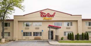 Crown Heights (NY) United States Hotels